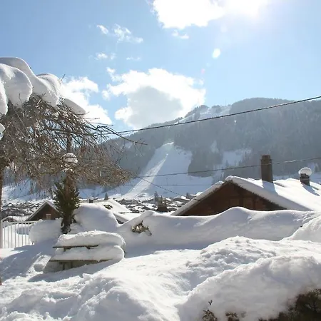 L'ours Blanc